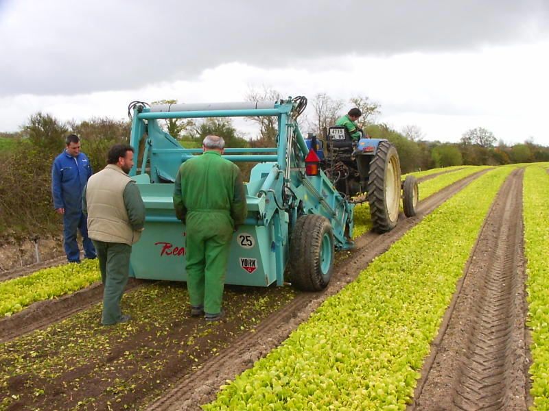 Field preparation before sowing