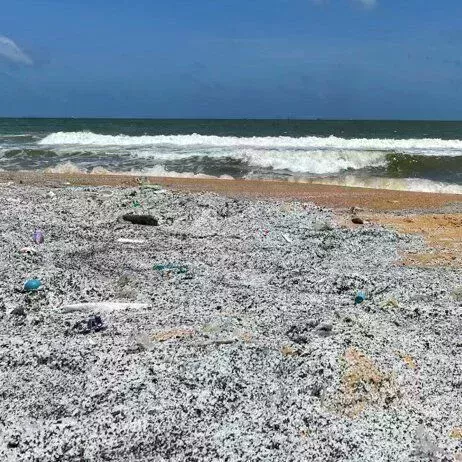 Scherben am Strand - BeachTech Strandreiniger