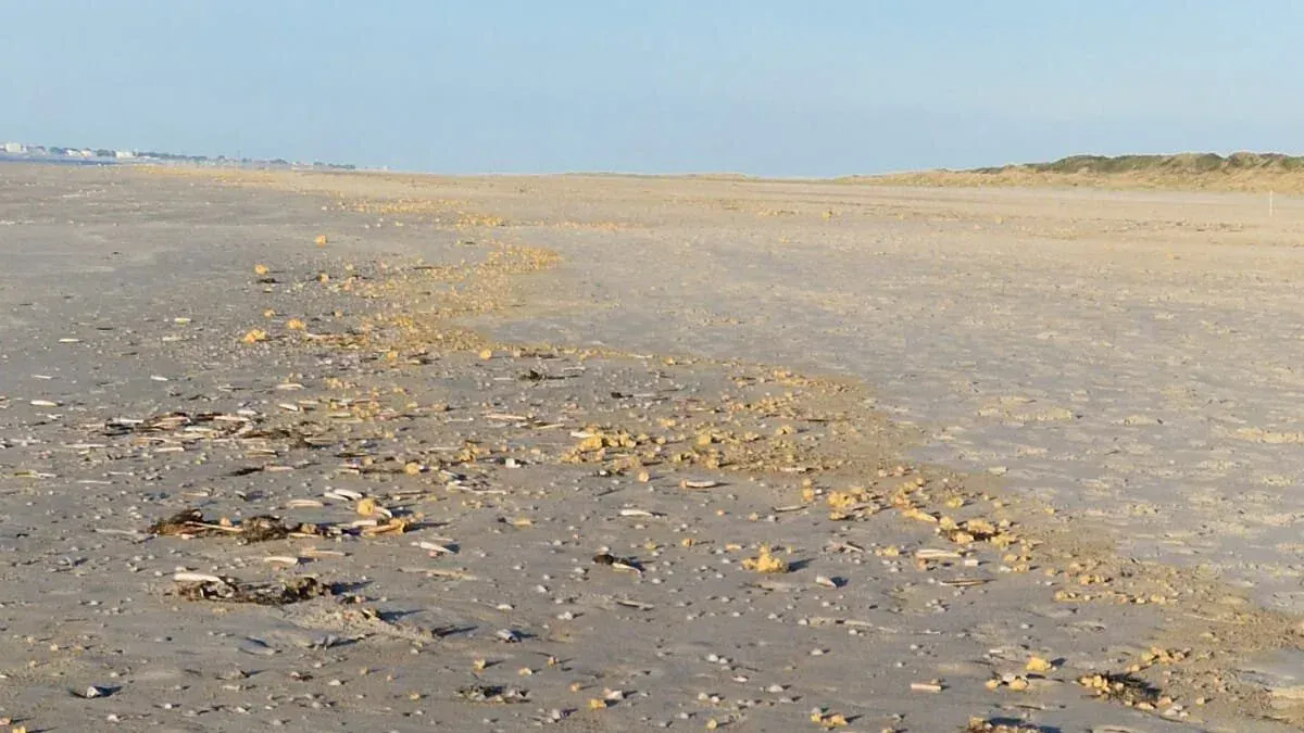 Sie sind meistens klein, gelblich oder weiß und treiben manchmal an die Küsten an: Paraffinteilchen