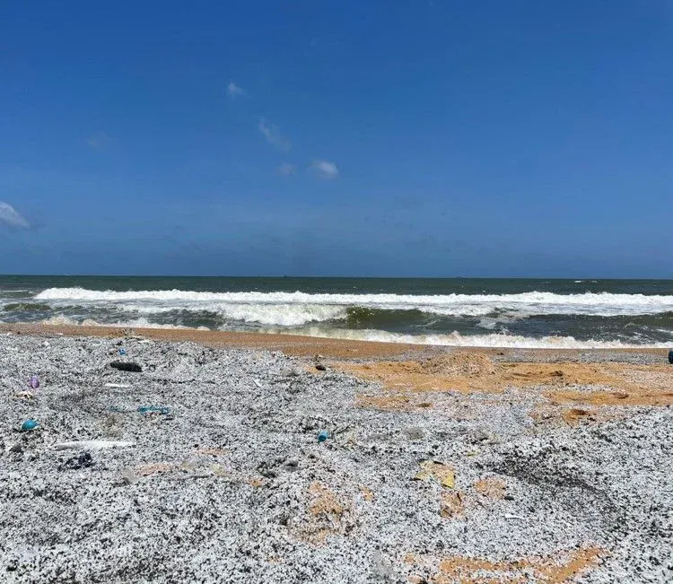 Granulés de résine plastique dispersés sur le rivage – un défi typique pour le nettoyage des microplastiques.