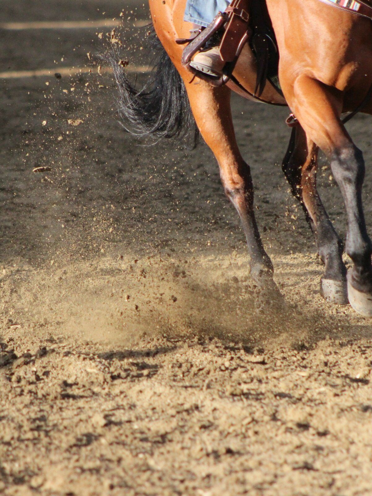 Horse legs and soil