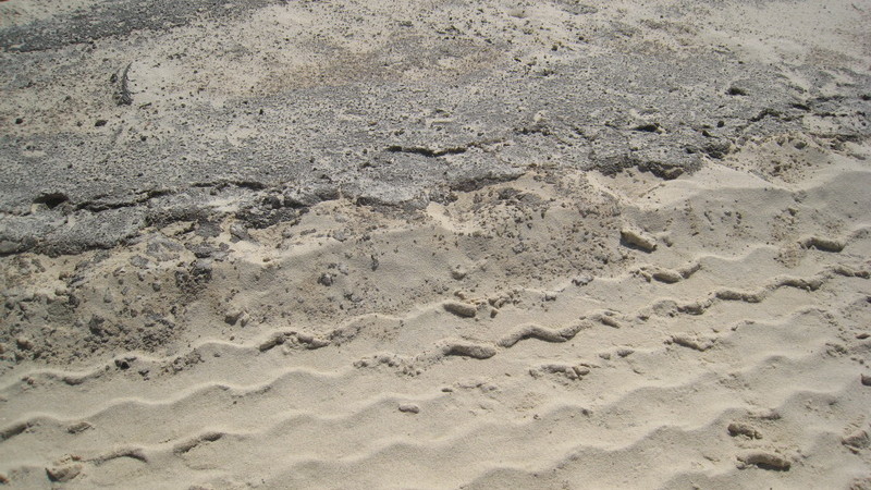 Sand polluted with oil