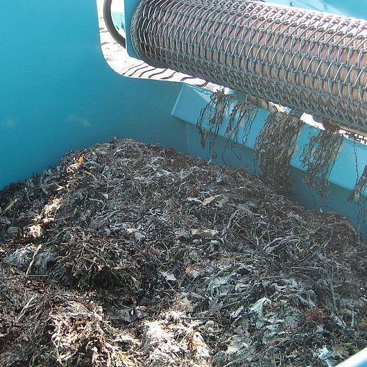 Seaweed and algae in a BeachTech