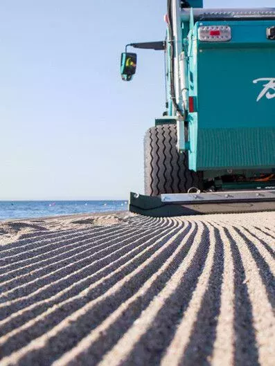 Pferd auf Sandrennbahn 