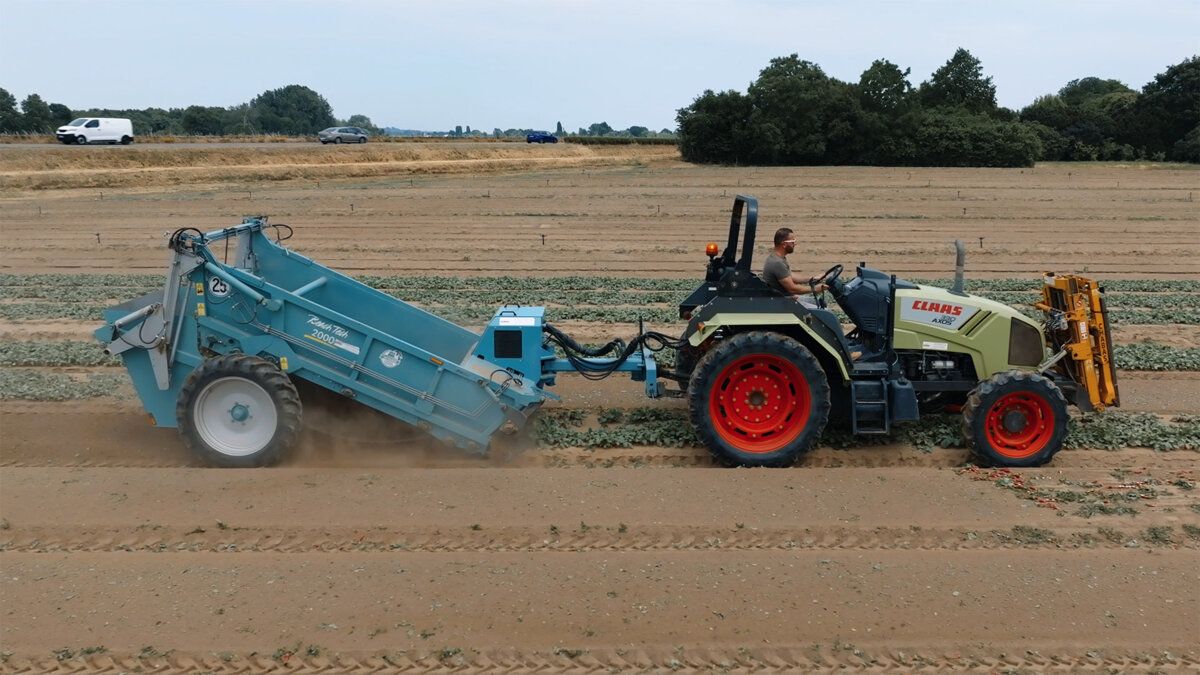 Traktor mit BeachTech Maschine bei der Auflockerung und Vorbereitung eines Feldbodens.