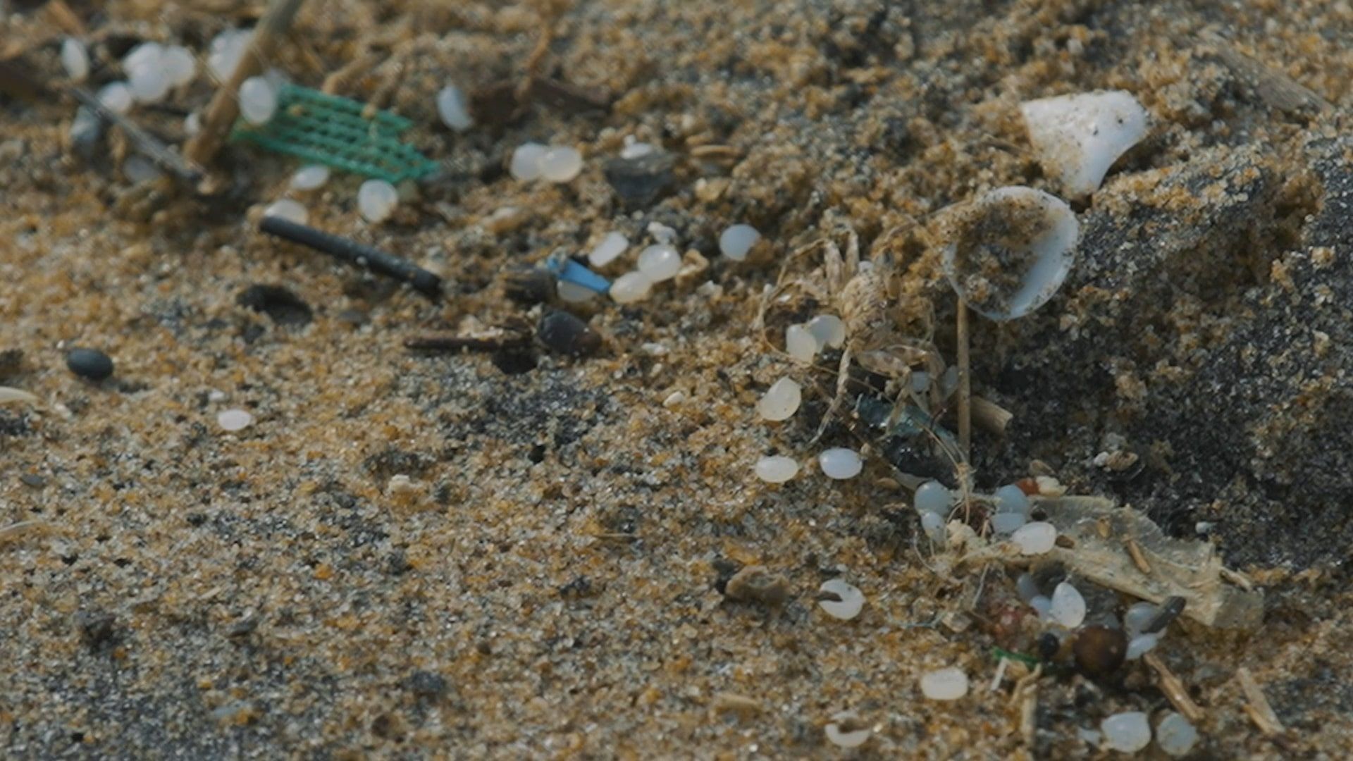 Gránulos de plástico (nurdles) en la playa: Bolas de tamaño milimétrico difíciles de recoger.