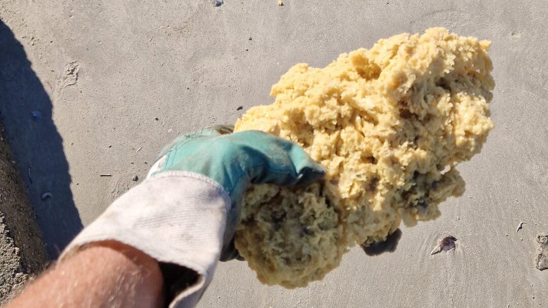 Paraffin lumps on the beach