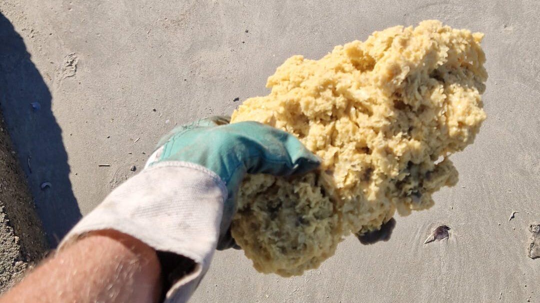 Paraffin lumps on the beach