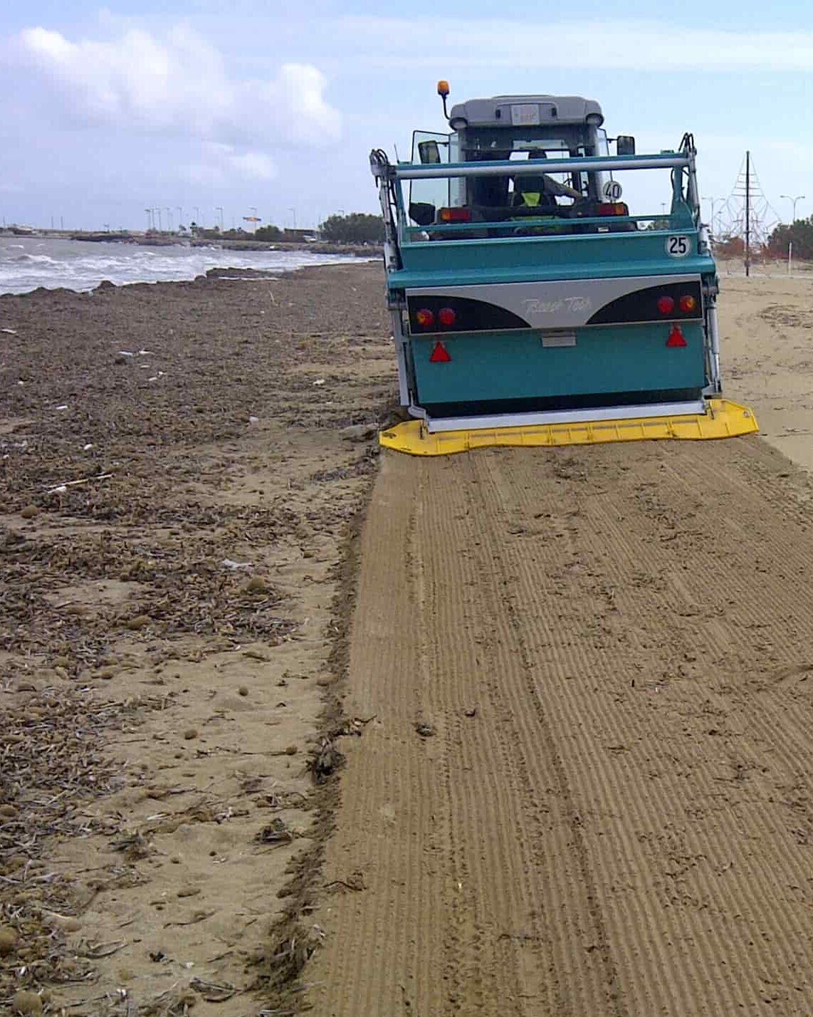 Spiaggia con alghe marine