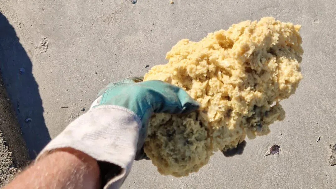 Paraffin lumps on the beach