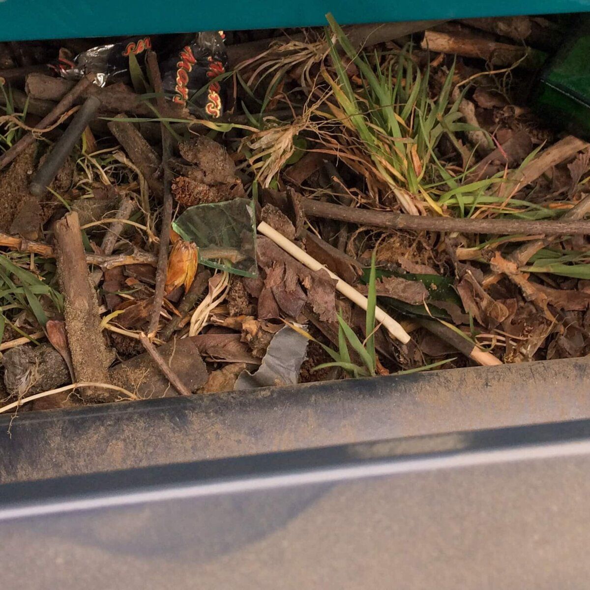 Laub, Holzstücke und Pflanzenreste im Sand als typische organische Verunreinigung.