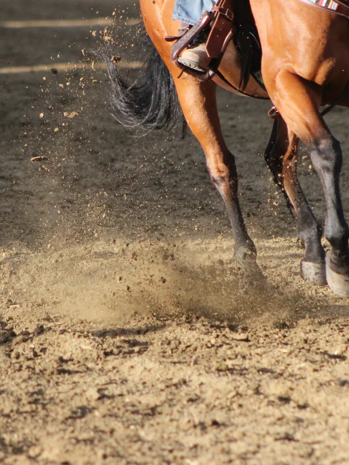 Piernas de un caballo en el suelo de un hipódromo 