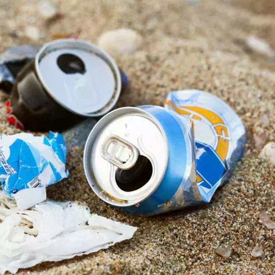 Cans in the sand