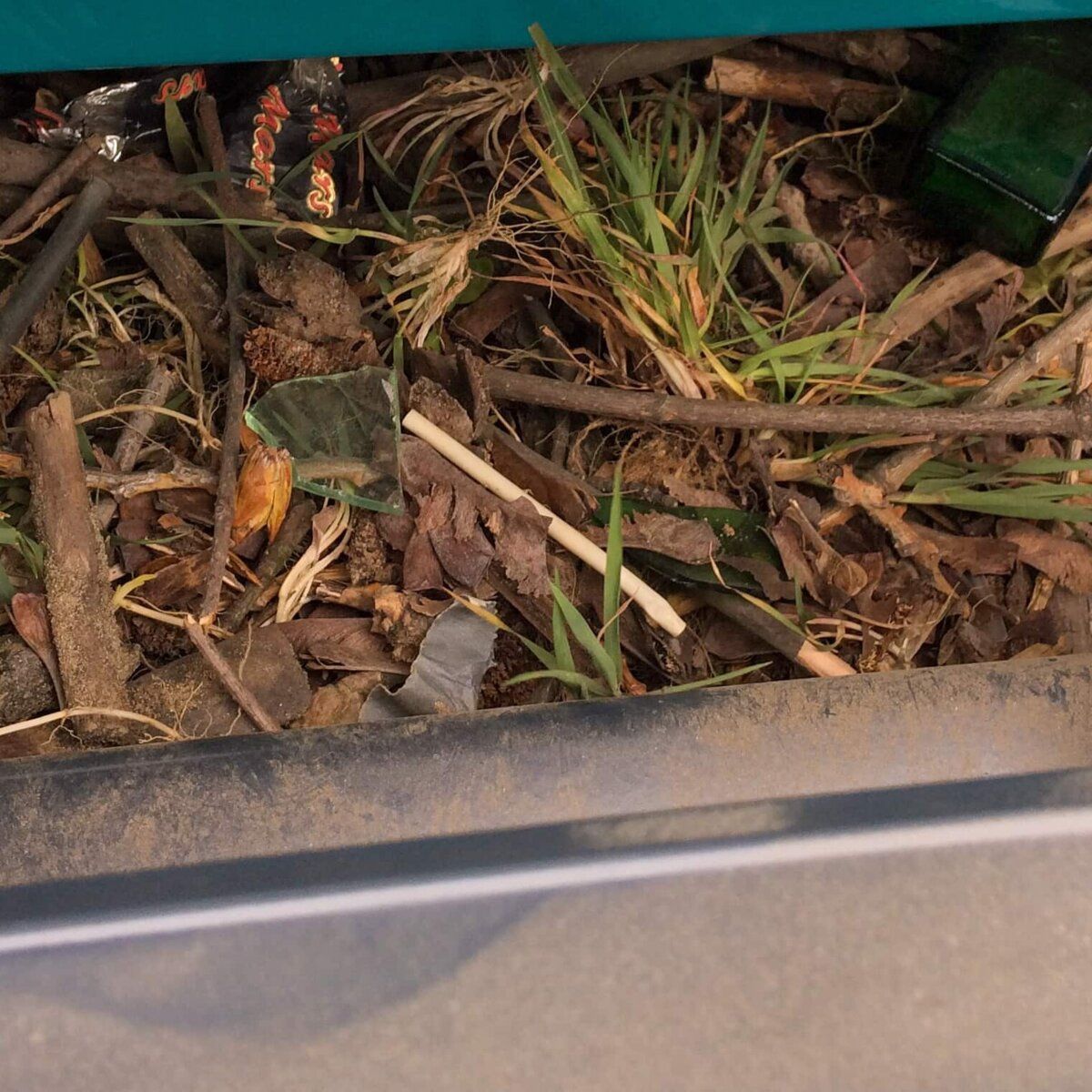 Organische Rückstände wie Gras und Blätter im Sand.