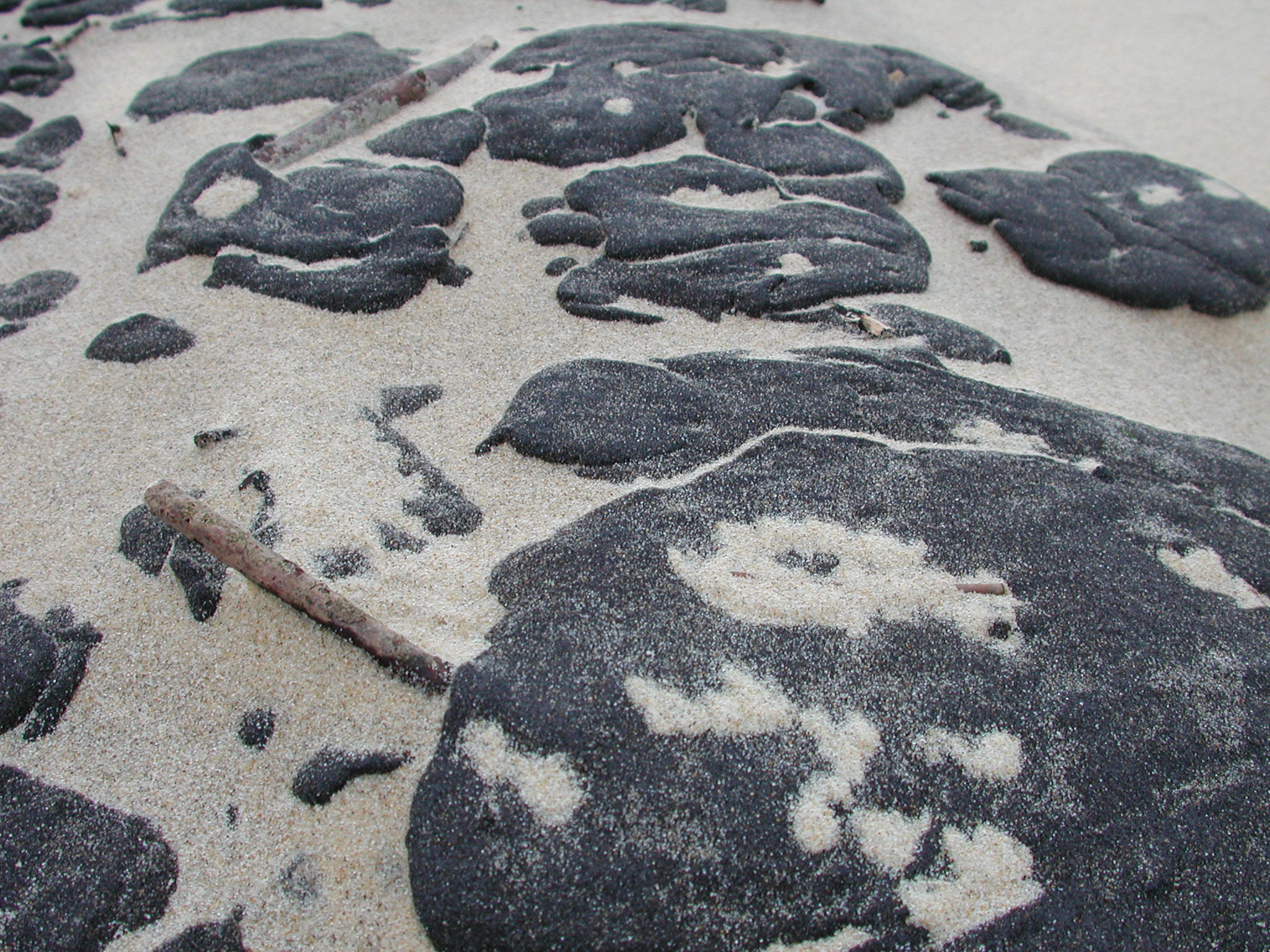 Quote with polluted sand by oil in background