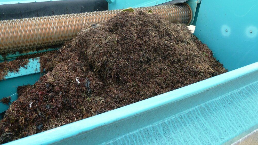 BeachTech Beach Cleaner Bread Bin with Seaweed