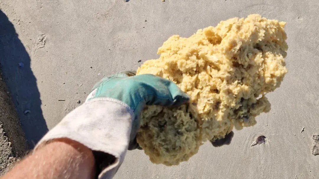 Grumi di paraffina sulla spiaggia