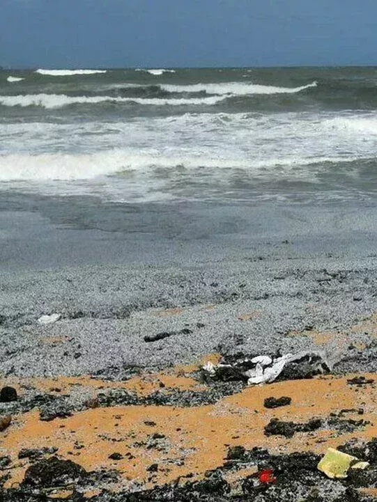 Gránulos en la playa