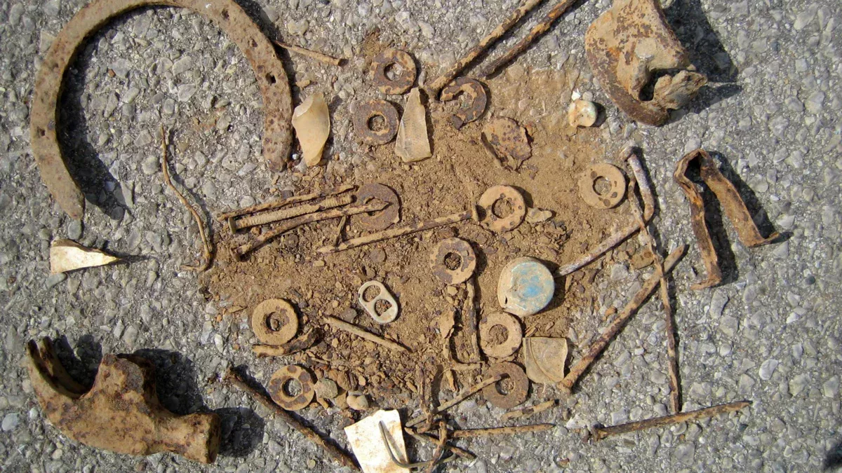 Horse shoes and nails 