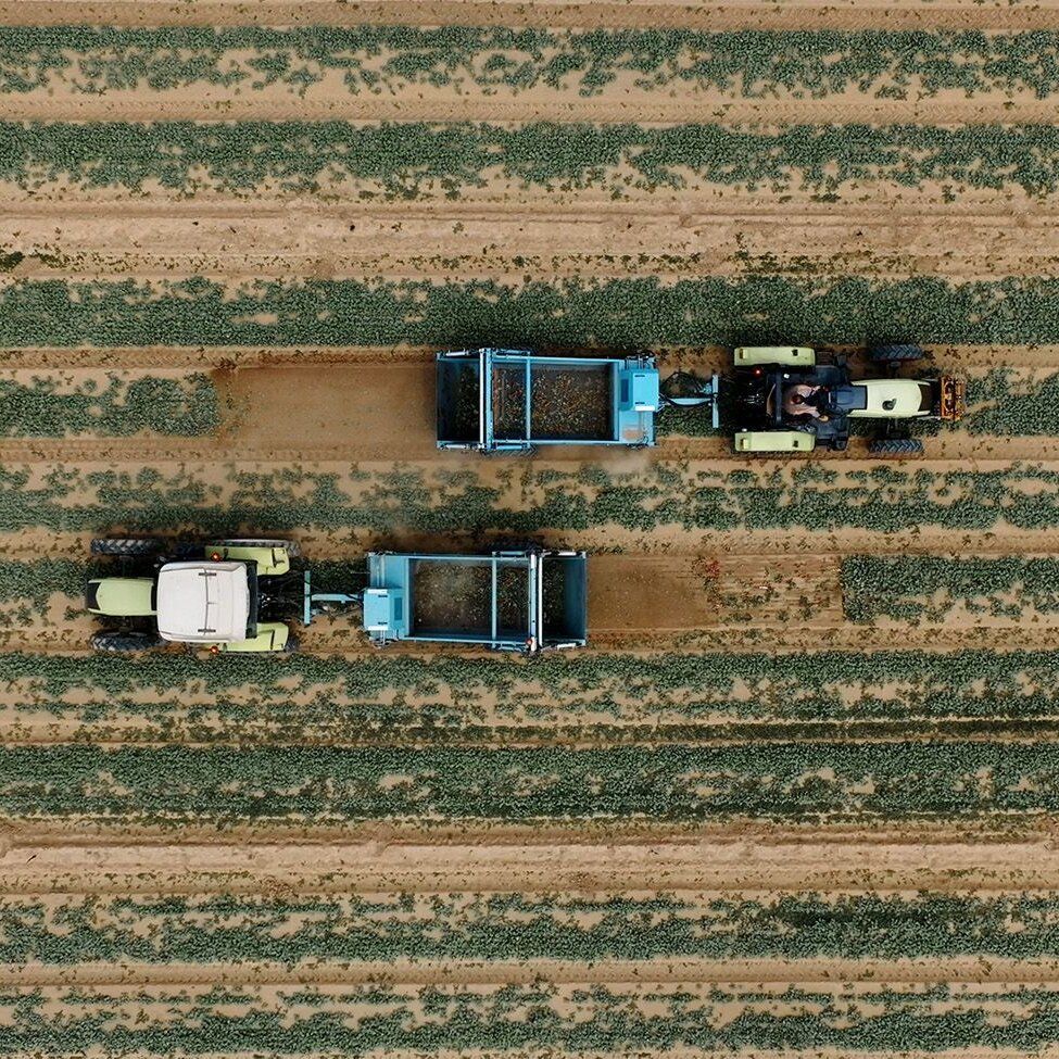 Zwei Traktoren mit BeachTech Maschinen bei der Bodenbearbeitung auf einem sandigen Feld, Luftaufnahme.